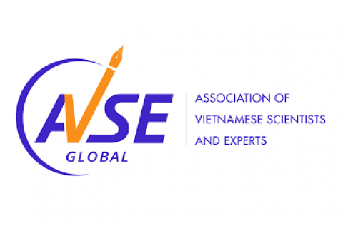 AVSE